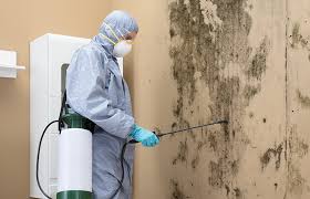 Best HVAC Mold Inspection and Cleaning  in Mountain Home, NC